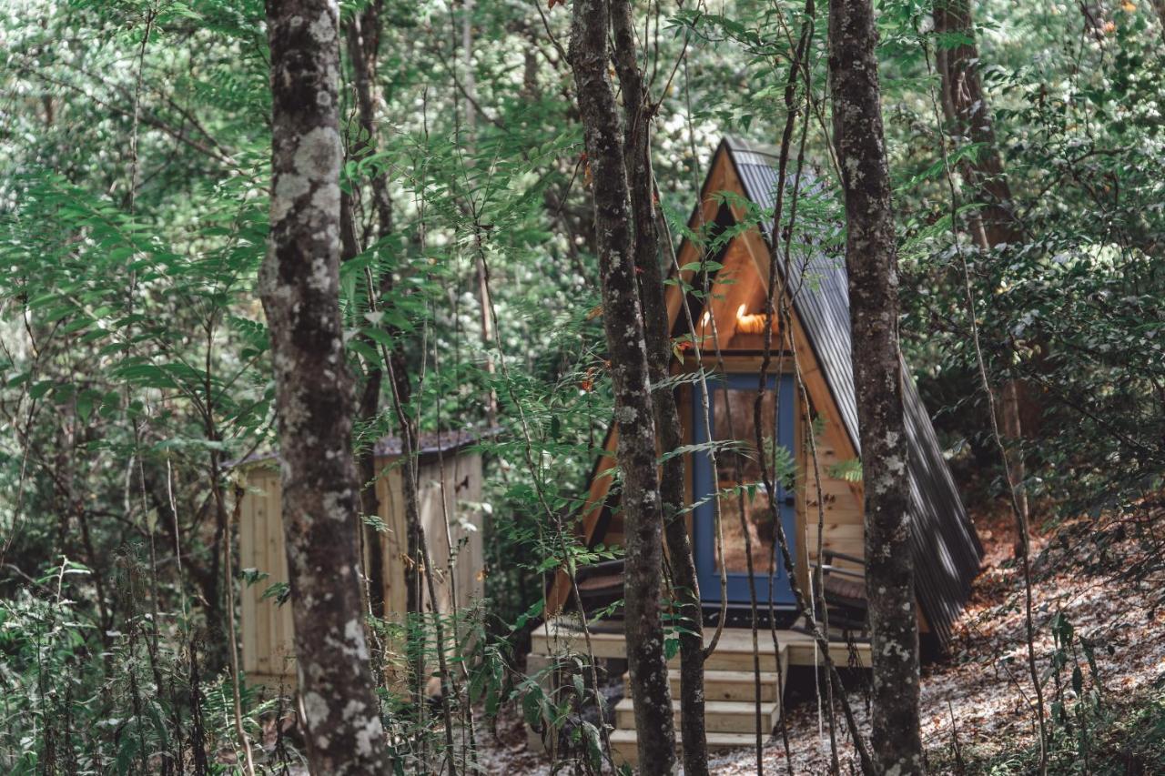 Blue Brambler Glamping A-Frame Appartement Rockbridge Buitenkant foto