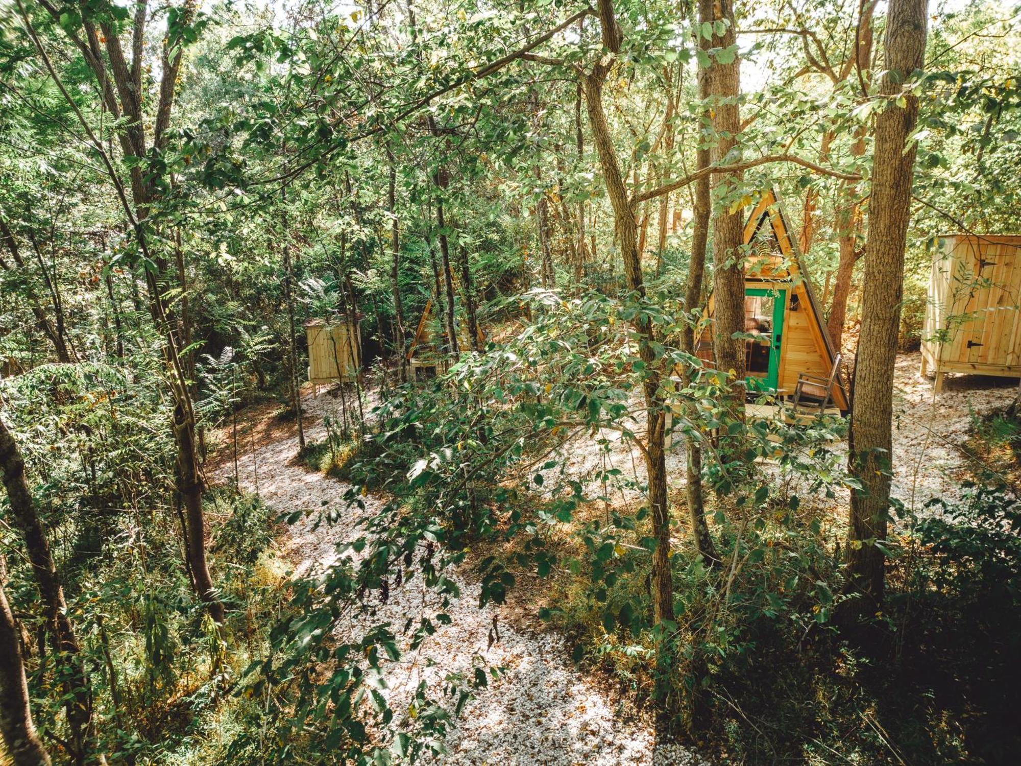 Blue Brambler Glamping A-Frame Appartement Rockbridge Buitenkant foto